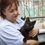 cat_nurses_other_animals_back_to_health_01