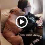 grateful_dog_cant_stop_snuggling_mom_featured