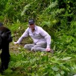 woman meets gorilla