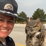officer saves owl