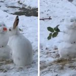 bunny devouring snow man nose