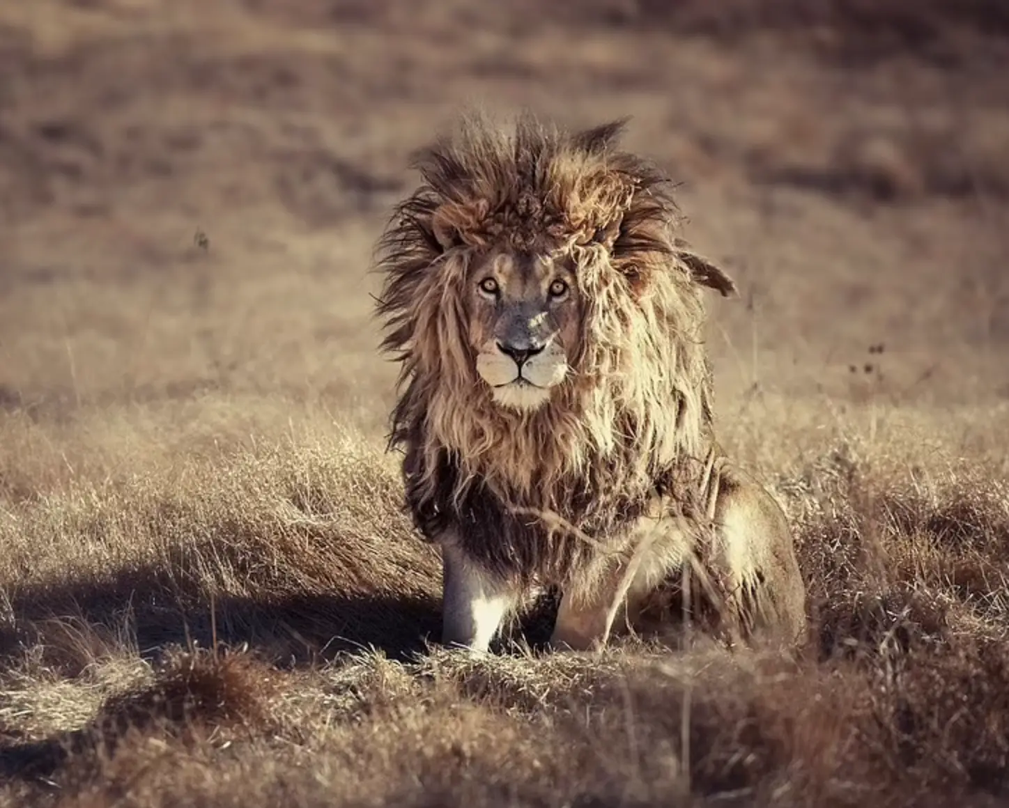 And he is having a bad hair day