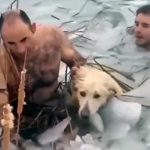 officers rescue dog