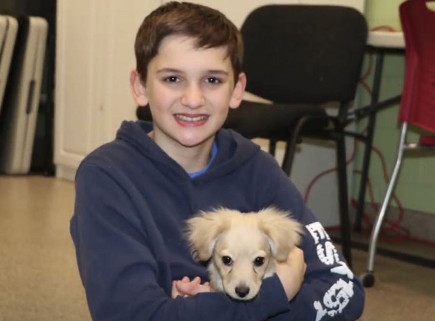 A 12-year-old kid builds a wheelchair from LEGO for an unwanted puppy so that it can enjoy life 2
