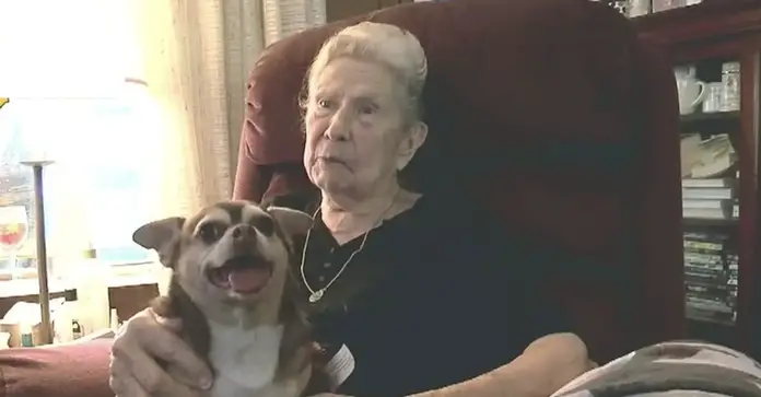 Rescue dog barks for five hours to save its 92-year-old owner 2