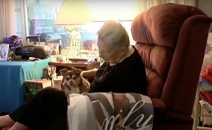 Rescue dog barks for five hours to save its 92-year-old owner 4