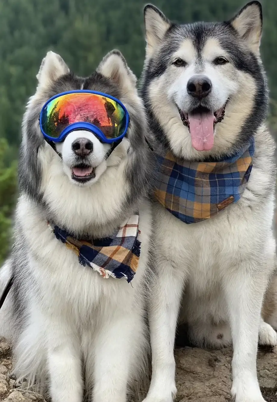 Sterling, who lives with his family in Seattle, lost his eyesight three years ago because of glaucoma. 