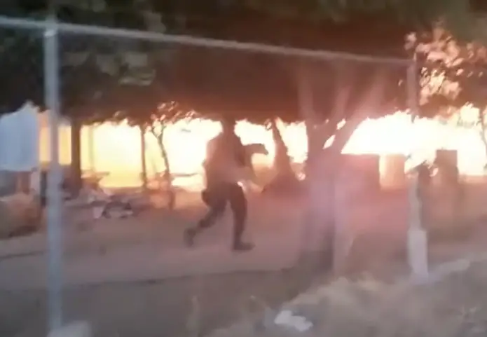 A policeman risks his life to save a dog from a raging fire 2