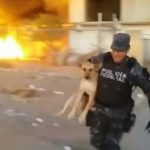 police saves dog