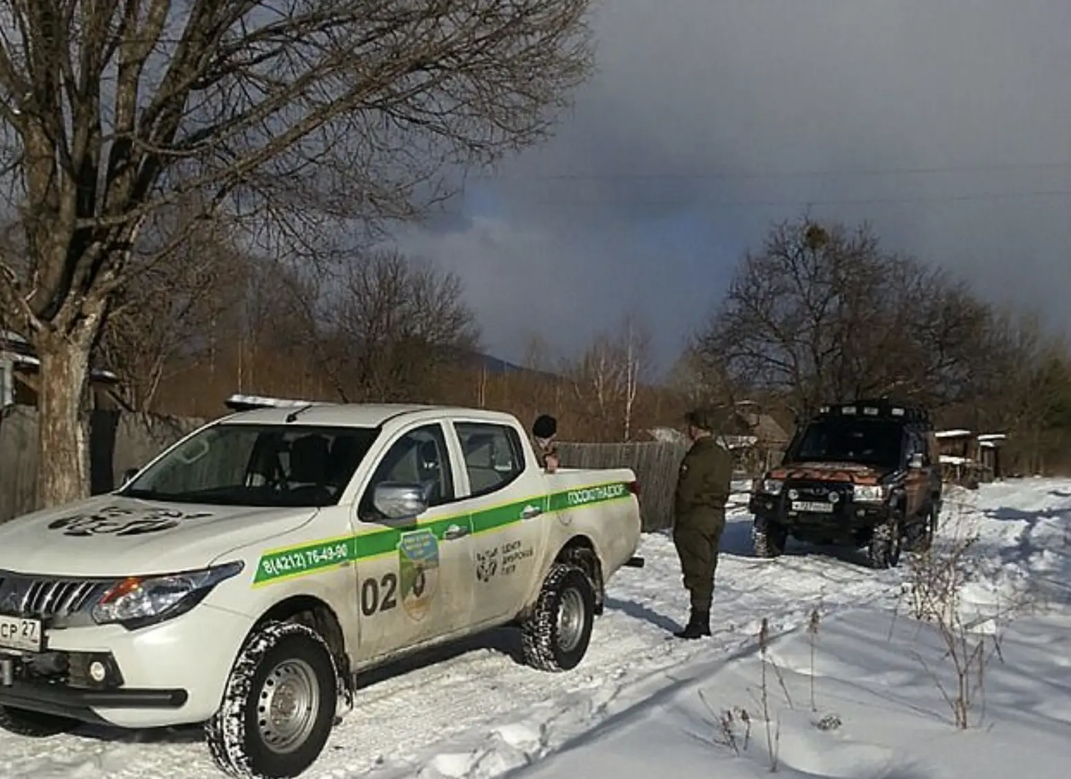 The emergency team of Amur Tiger Centre