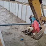 dog rescue digger