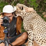 photographer and cheetah