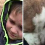 boy reunites puppy2