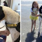 girl and service dog