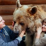 couple adopts bear